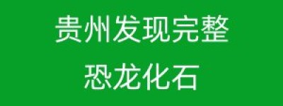 贵州发现完整恐龙化石