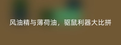风油精与薄荷油，驱鼠利器大比拼
