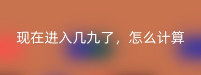 现在进入几九了，怎么计算