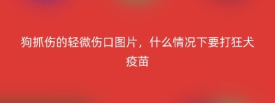 狗抓伤的轻微伤口图片，什么情况下要打狂犬疫苗