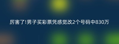 厉害了!男子买彩票凭感觉改2个号码中830万