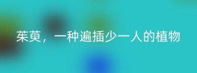 茱萸，一种遍插少一人的植物