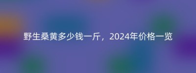 野生桑黄多少钱一斤，2024年价格一览