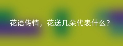 花语传情，花送几朵代表什么？