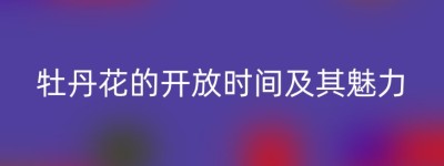 牡丹花的开放时间及其魅力