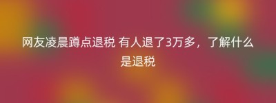 网友凌晨蹲点退税 有人退了3万多，了解什么是退税