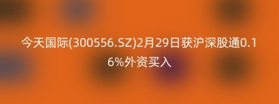 今天国际(300556.SZ)2月29日获沪深股通0.16%外资买入