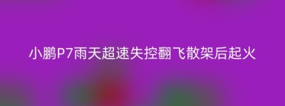 小鹏P7雨天超速失控翻飞散架后起火