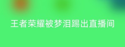 王者荣耀被梦泪踢出直播间