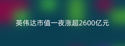 英伟达市值一夜涨超2600亿元