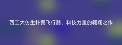 西工大仿生扑翼飞行器，科技力量的翱翔之作