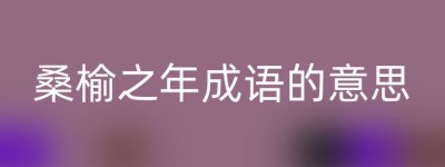 桑榆之年成语的意思