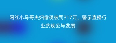 网红小马哥夫妇偷税被罚317万，警示直播行业的规范与发展