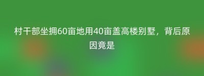 村干部坐拥60亩地用40亩盖高楼别墅，背后原因竟是