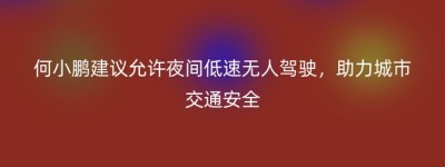 何小鹏建议允许夜间低速无人驾驶，助力城市交通安全