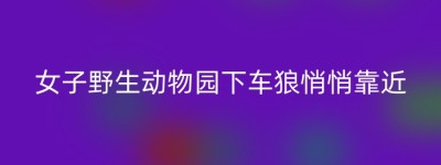 女子野生动物园下车狼悄悄靠近