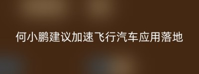 何小鹏建议加速飞行汽车应用落地