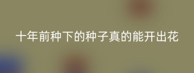 十年前种下的种子真的能开出花