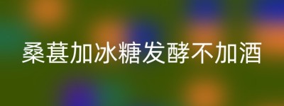 桑葚加冰糖发酵不加酒