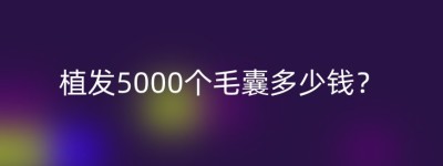 植发5000个毛囊多少钱？