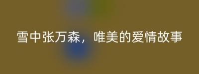 雪中张万森，唯美的爱情故事