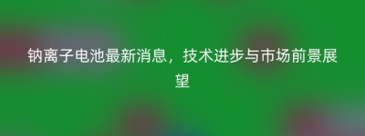 钠离子电池最新消息，技术进步与市场前景展望