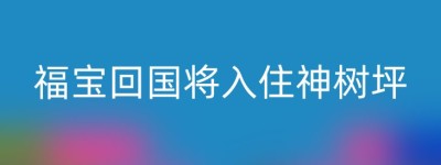 福宝回国将入住神树坪