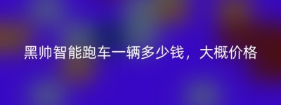 黑帅智能跑车一辆多少钱，大概价格