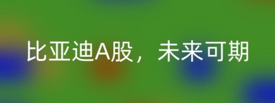 比亚迪A股，未来可期