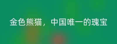 金色熊猫，中国唯一的瑰宝