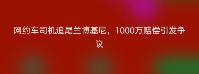 网约车司机追尾兰博基尼，1000万赔偿引发争议