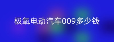 极氧电动汽车009多少钱
