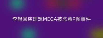 李想回应理想MEGA被恶意P图事件
