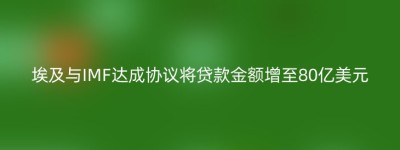 埃及与IMF达成协议将贷款金额增至80亿美元
