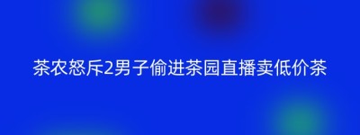 茶农怒斥2男子偷进茶园直播卖低价茶