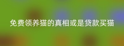 免费领养猫的真相或是贷款买猫