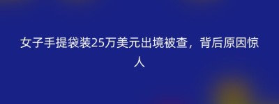 女子手提袋装25万美元出境被查，背后原因惊人