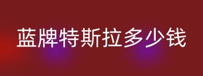 蓝牌特斯拉多少钱