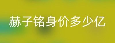 赫子铭身价多少亿