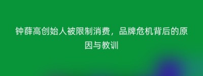 钟薛高创始人被限制消费，品牌危机背后的原因与教训