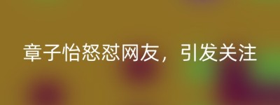 章子怡怒怼网友，引发关注