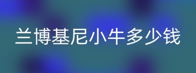兰博基尼小牛多少钱