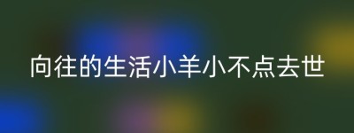 向往的生活小羊小不点去世