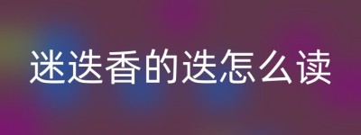 迷迭香的迭怎么读