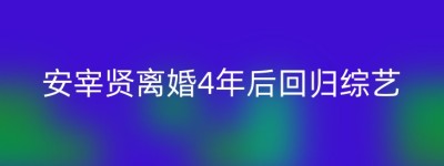 安宰贤离婚4年后回归综艺