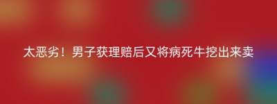 太恶劣！男子获理赔后又将病死牛挖出来卖