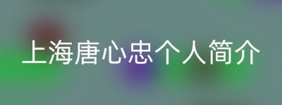 上海唐心忠个人简介