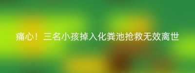 痛心！三名小孩掉入化粪池抢救无效离世