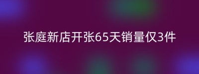 张庭新店开张65天销量仅3件