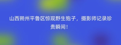 山西朔州平鲁区惊现野生狍子，摄影师记录珍贵瞬间！